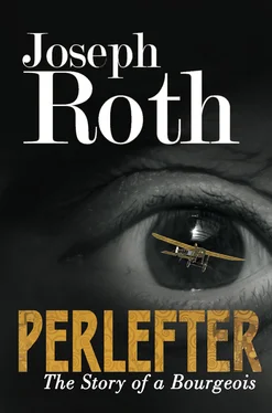 Joseph Roth Perlefter: The Story of A Bourgeois обложка книги