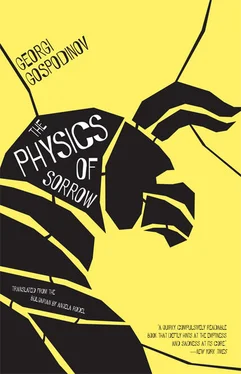 Georgi Gospodinov The Physics of Sorrow обложка книги