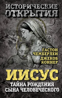 Джекоб Коннер Иисус. Тайна рождения Сына Человеческого (сборник) обложка книги