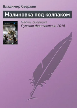 Владимир Свержин Малиновка под колпаком обложка книги