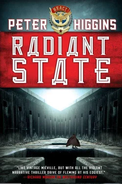 Peter Higgins Radiant State обложка книги