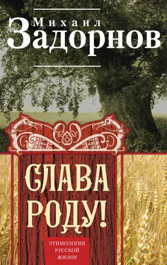 Михаил Задорнов Слава Роду! Этимология русской жизни обложка книги