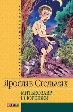 Ярослав Стельмах Митькозавр iз Юрківки обложка книги