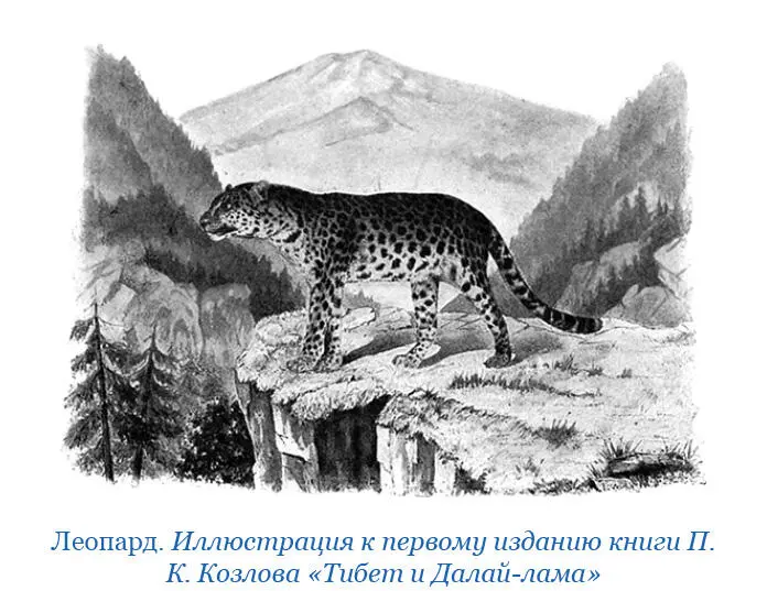 Административное деление Территория с тибетским населением подвластная с - фото 12