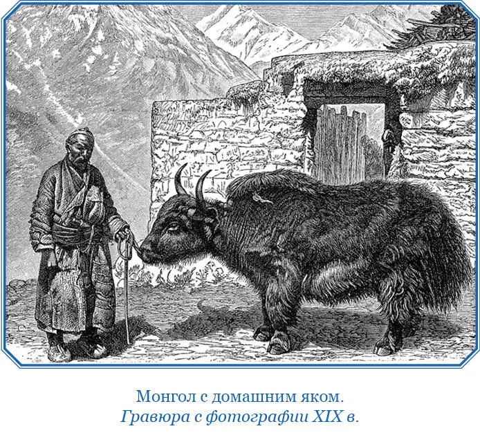 Население Тибета Численность населения Тибета определяется около четырех - фото 14