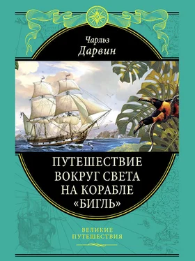 Чарльз Дарвин Путешествие вокруг света на корабле «Бигль» обложка книги