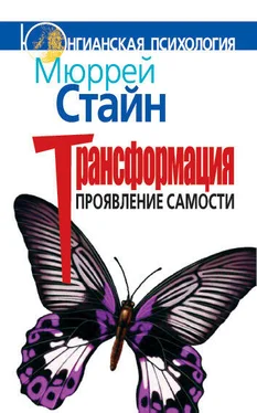 Мюррей Стайн Трансформация. Проявление самости обложка книги