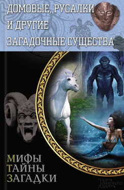 Юрий Пернатьев Домовые, русалки и другие загадочные существа обложка книги