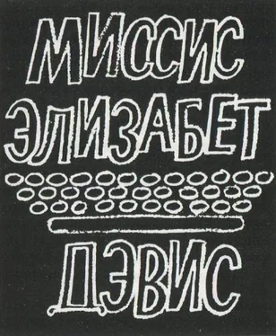 Речел Гулд Миссис Элизабет Дэвис обложка книги