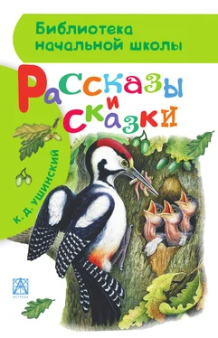 Константин Ушинский Рассказы и сказки обложка книги