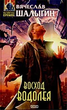 Вячеслав Шалыгин Восход Водолея обложка книги