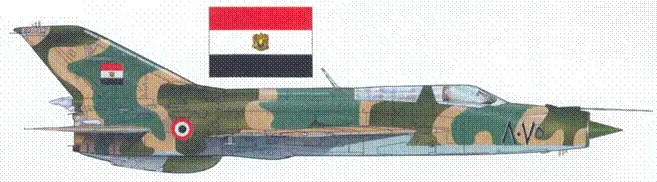 МиГ21ПФ черный 8075 ВВС Египта война с Израилем 1973 года Нанесен - фото 229