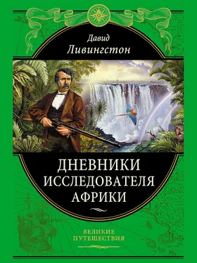 Давид Ливингстон Дневники исследователя Африки обложка книги