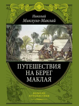 Николай Миклухо-Маклай Путешествие на берег Маклая обложка книги