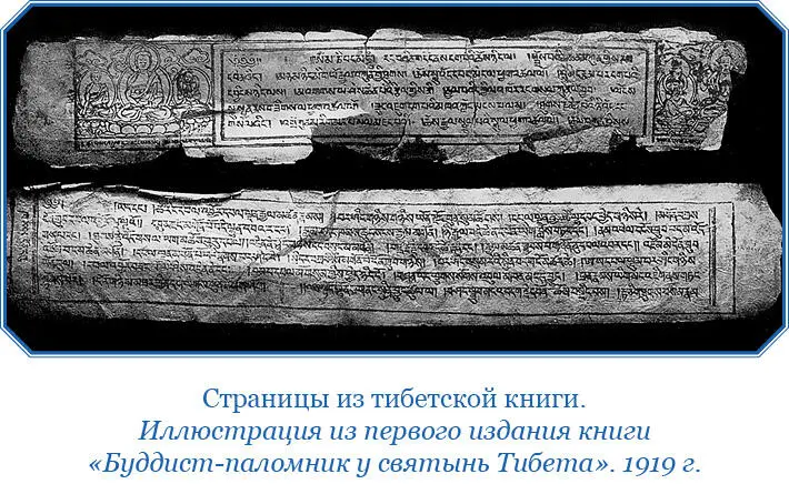 После долгой возни и переговоров затягивать кои монголы любят до вывода из - фото 128