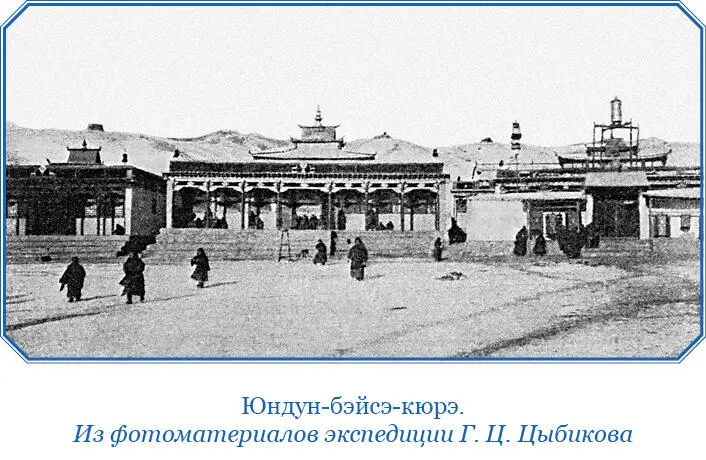 Таких яков нужно было купить голов 12 но судьба стала ставить нам дальнейшие - фото 131