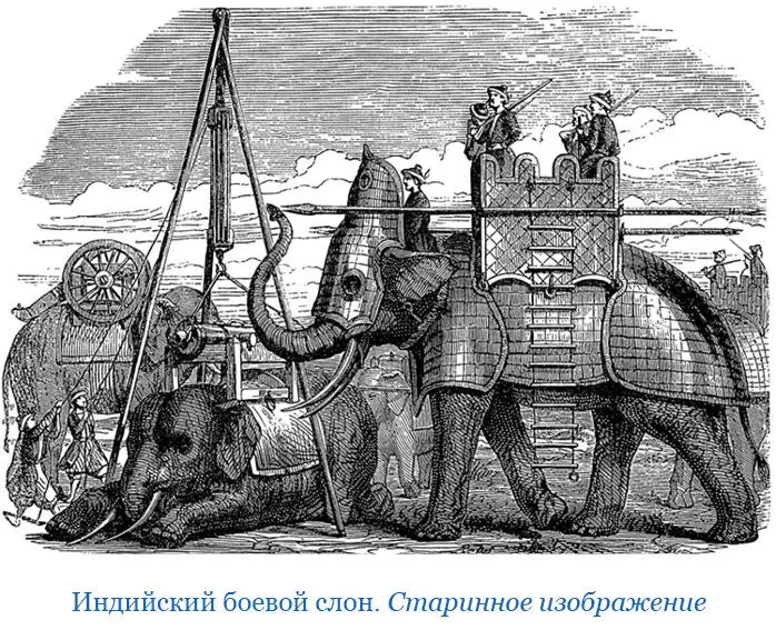 Луна в Бидаре стоит полная 3 дня В Бидаре же нет сладких овощей В Индостане - фото 15