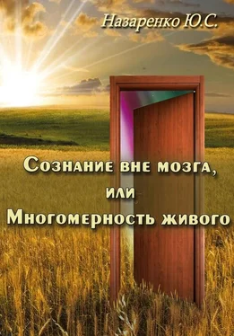 Юрий Назаренко Сознание вне мозга, или Многомерность живого обложка книги