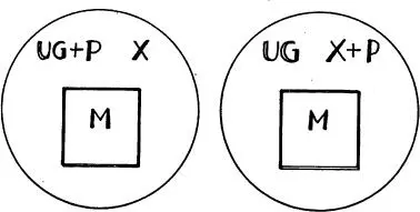 In this construction UG gets rid of P by casually sticking it onto X which is - фото 22