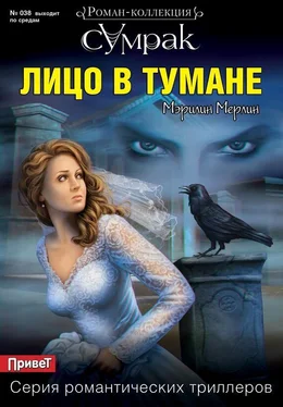Мэрилин Мерлин Лицо в тумане обложка книги