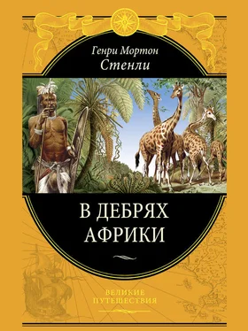 Генри Мортон Стенли В дебрях Африки обложка книги