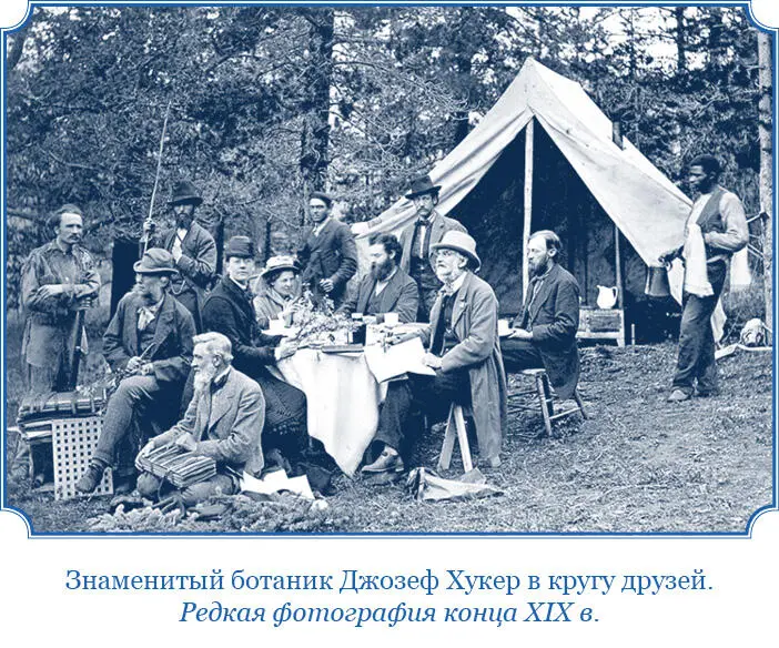 Если бы Фрам был принесен к берегам Гренландии или к островам Американского - фото 18
