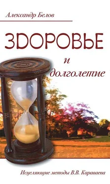 Александр Белов Здоровье и долголетие. Исцеляющие методы В. В. Караваева обложка книги