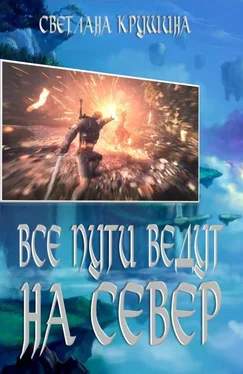 Светлана Крушина Все пути ведут на Север обложка книги