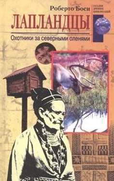 Роберто Боси Лапландцы. Охотники за северными оленями обложка книги