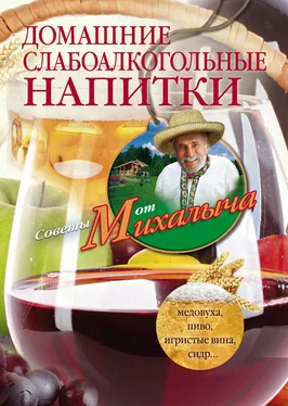 Николай Звонарев Домашние слабоалкогольные напитки. Медовуха, пиво, игристые вина, сидр… обложка книги