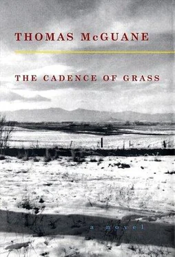 Thomas Mcguane The Cadence of Grass обложка книги