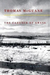 Thomas Mcguane - The Cadence of Grass