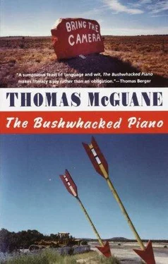 Thomas McGuane The Bushwacked Piano обложка книги