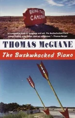 Thomas McGuane - The Bushwacked Piano