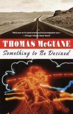 Thomas Mcguane Something to Be Desired обложка книги