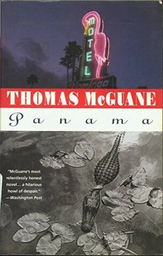 Thomas McGuane Panama обложка книги