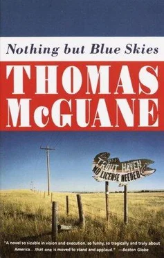 Thomas McGuane Nothing but Blue Skies обложка книги