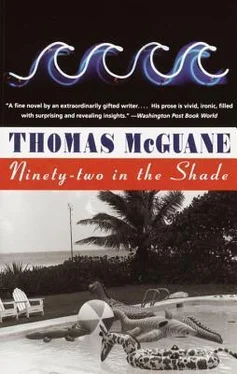 Thomas McGuane Ninety-Two in the Shade обложка книги