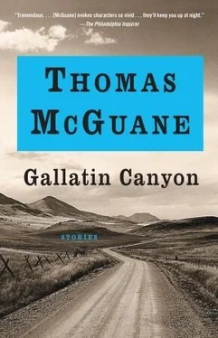 Thomas Mcguane Gallatin Canyon обложка книги