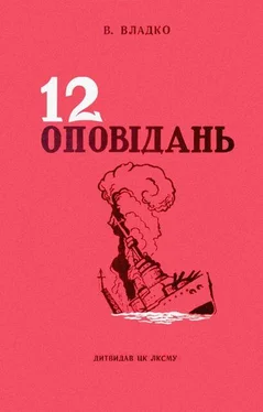 Володимир Владко Дванадцять оповідань обложка книги