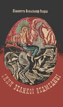 Лізелотта Вельскопф-Генріх Сини Великої Ведмедиці обложка книги