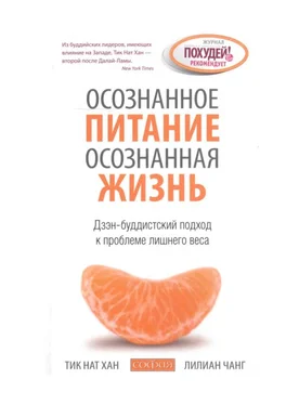 Тик Нат Хан Array Осознанное питание — осознанная жизнь: Дзэн-буддистский подход к проблеме лишнего веса обложка книги