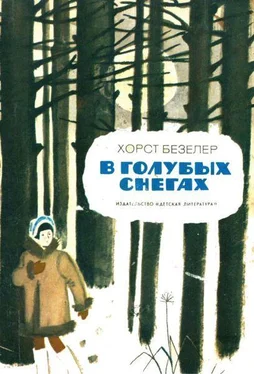 Хорст Безелер В голубых снегах обложка книги