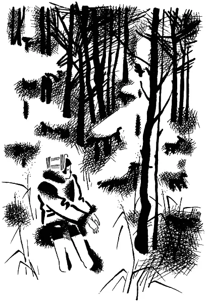 Немного погодя Ликса встала надела варежки и опять полезла сквозь переплетение - фото 7