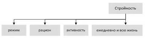 Имея склонность к полноте поддерживать стройность можно только с помощью этих - фото 13