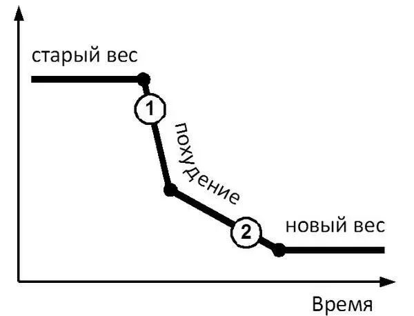 Таким образом суммарная скорость похудения первые 23 недели может составлять - фото 51