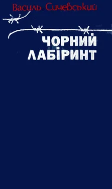 Василь Сичевський Чорний лабіринт. Книга третя обложка книги