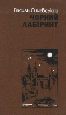 Василь Сичевський Чорний лабіринт. Книга друга обложка книги