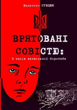 Валентин Стецюк Врятовані совістю обложка книги