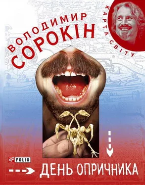 Володимир Сорокін День опричника обложка книги